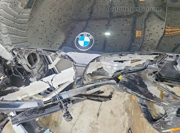 5UXTR7C57KLA48441 2019 BMW X3 Black Engine compartment view