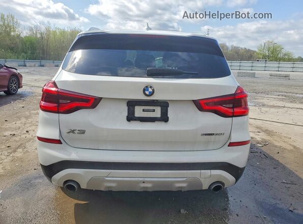 5UXTY3C06M9E85427 2021 BMW X3 Белый Вид сзади