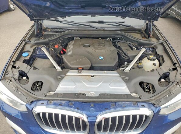 5UXTY5C0XM9F50078 2021 BMW X3 Blue Սալոնի հետևի տեսք