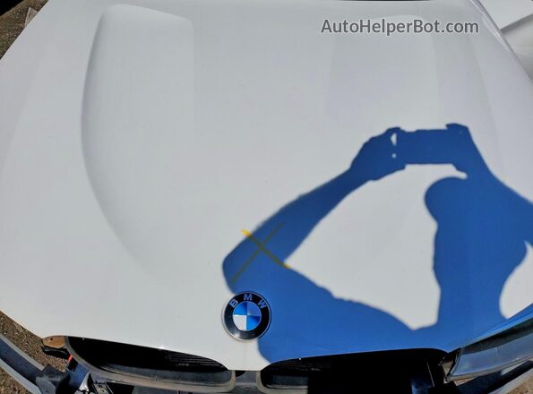5UXWX9C50H0T14923 2017 BMW X3 White Widok komory silnika