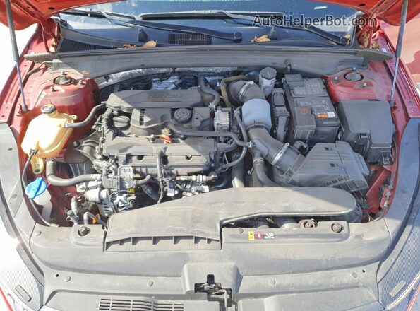 5XXG14J29RG245992 2024 KIA K5 Red Սալոնի հետևի տեսք