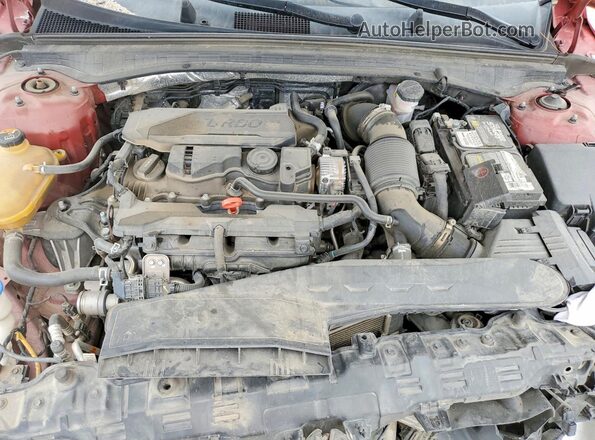 5XXG64J22MG067207 2021 KIA K5 Темно-бордовый Вид задней части салона