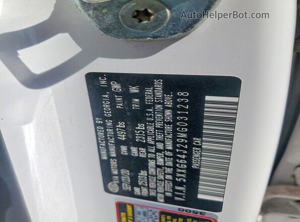 5XXG64J29MG031238 2021 KIA K5 Белый Вид подкапотного пространства