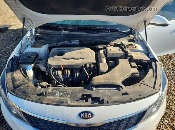 5XXGT4L33KG297608 2019 KIA OPTIMA White Vista interior trasera