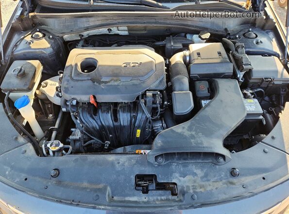 5XXGT4L37LG395669 2020 KIA OPTIMA Gray Սալոնի հետևի տեսք