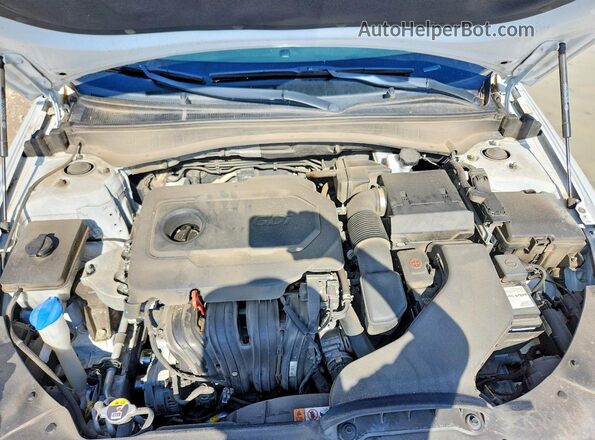 5XXGT4L38LG429604 2020 KIA OPTIMA White Вид задньої частини салону