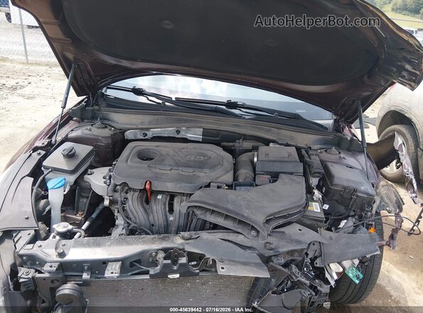 5XXGT4L38LG433197 2020 KIA OPTIMA Бордовый Вид сзади