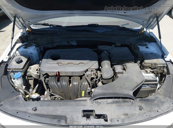 5XXGT4L39GG024535 2016 KIA OPTIMA White Вид ззаду