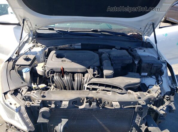 5XXGT4L39GG067465 2016 KIA OPTIMA White Вид задньої частини салону