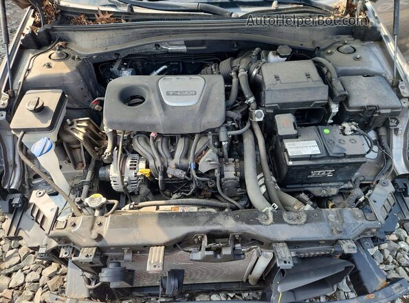 5XXGU4L16KG324893 2019 KIA OPTIMA Серый Вид задней части салона