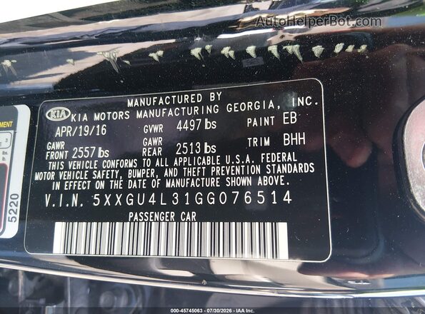 5XXGU4L31GG076514 2016 KIA OPTIMA Black Widok komory silnika