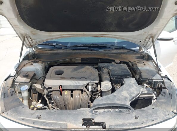 5XXGU4L35GG102709 2016 KIA OPTIMA Белый Вид сзади