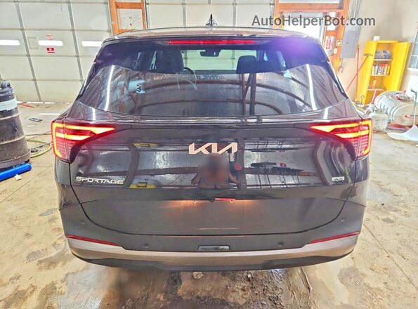 5XYK2CDF4TG429076 2026 KIA SPORTAGE Black Widok z tyłu