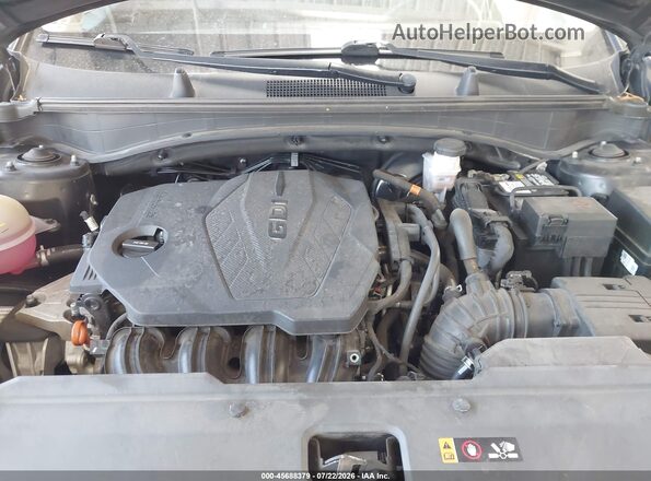 5XYK33AF3PG059293 2023 KIA SPORTAGE Black Widok z tyłu