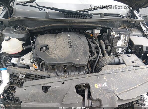 5XYK33AF8PG039699 2023 KIA SPORTAGE Black Widok z tyłu