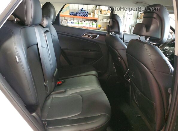 5XYK33DF0SG302577 2025 KIA SPORTAGE Белый Вид задней части салона