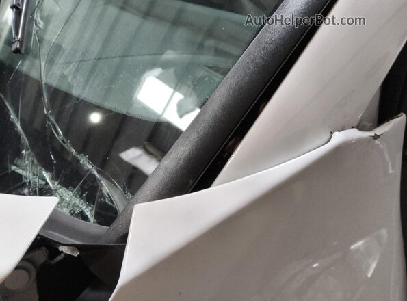 5XYK33DF2RG231778 2024 KIA SPORTAGE White Սալոնի 360 աստիճան տեսք