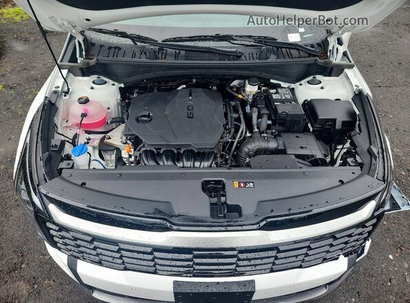 5XYK33DF6TG382551 2026 KIA SPORTAGE White Вид задньої частини салону