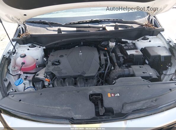 5XYK5CDF8RG160838 2024 KIA SPORTAGE White Rear view