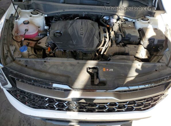 5XYK6CDF1RG201517 2024 KIA SPORTAGE Белый Вид задней части салона