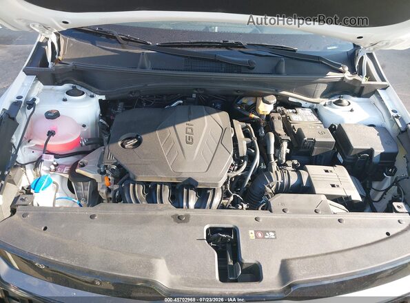 5XYK6CDF3TG335906 2026 KIA SPORTAGE White უკანა ხედი