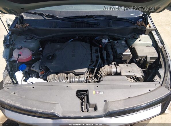 5XYK6CDF4RG179240 2024 KIA SPORTAGE Зеленый Вид сзади