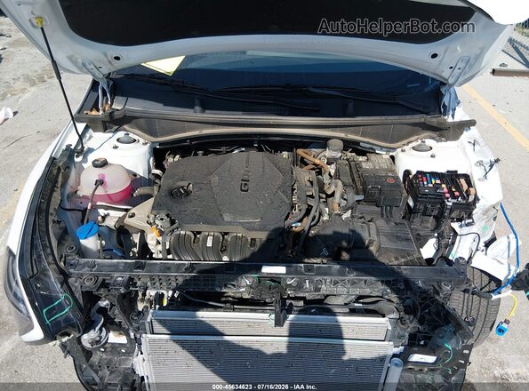 5XYK6CDF7SG284988 2025 KIA SPORTAGE Белый Вид сзади