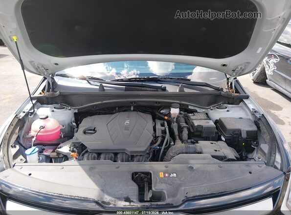5XYK6CDF8RG226575 2024 KIA SPORTAGE Gray Rear view