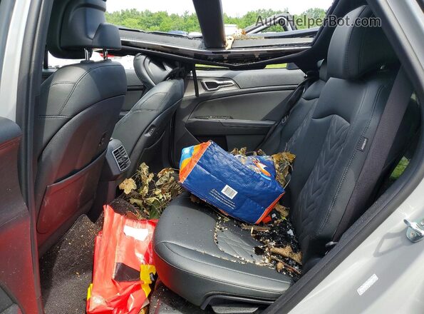 5XYK6CDFXRG223287 2024 KIA SPORTAGE Серый Вид задней части салона