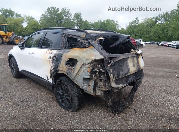 5XYK7CDF9RG200788 2024 KIA SPORTAGE Белый Задняя левая четверть