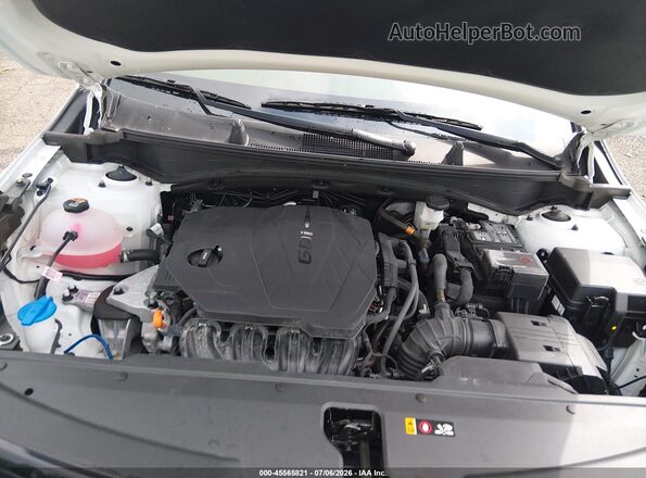 5XYK7CDF9RG200788 2024 KIA SPORTAGE Белый Вид сзади