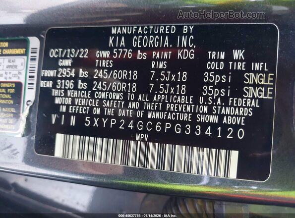 5XYP24GC6PG334120 2023 KIA TELLURIDE Gray Vista del compartimento del motor