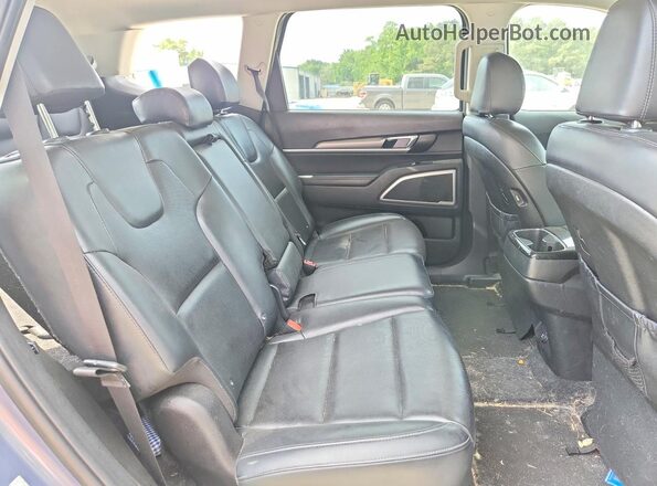 5XYP24HC3LG032213 2020 KIA TELLURIDE Blue Widok wnętrza z tyłu