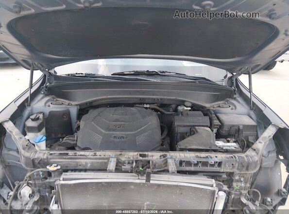 5XYP2DHC5LG070011 2020 KIA TELLURIDE Серый Вид сзади