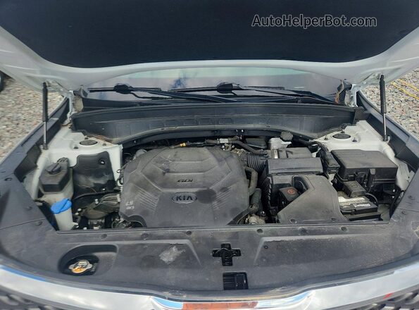5XYP2DHC9LG011009 2020 KIA TELLURIDE White ძრავის განყოფილების ხედი