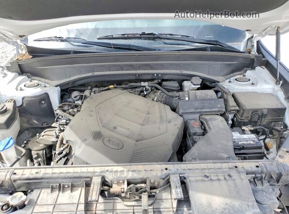 5XYP2DHC9LG079021 2020 KIA TELLURIDE White Rear interior view