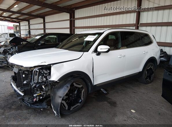 5XYP34GC2RG437275 2024 KIA TELLURIDE Белый Панорамный вид салона 360°
