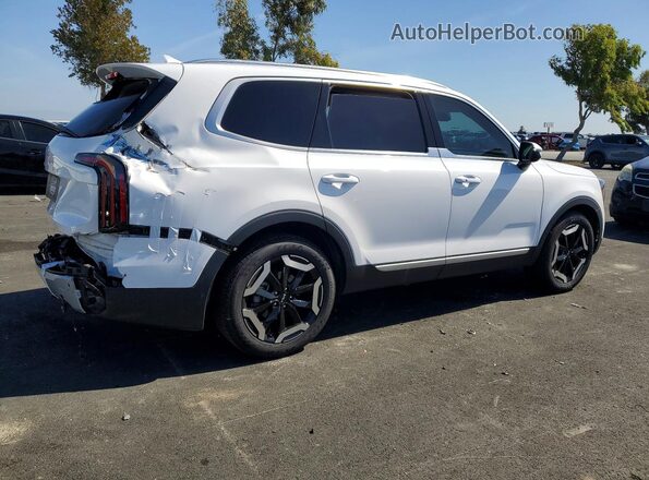 5XYP34GC4RG413432 2024 KIA TELLURIDE Белый Задняя правая четверть