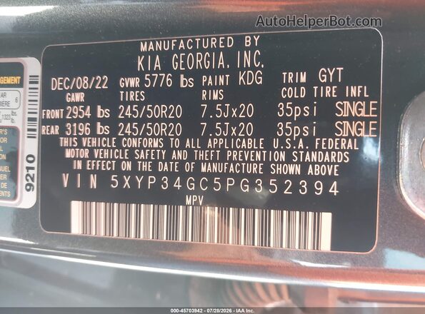 5XYP34GC5PG352394 2023 KIA TELLURIDE Gray Vista del compartimento del motor