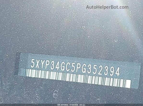 5XYP34GC5PG352394 2023 KIA TELLURIDE Gray 