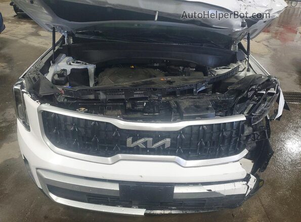 5XYP34GC8RG463783 2024 KIA TELLURIDE White ძრავის განყოფილების ხედი