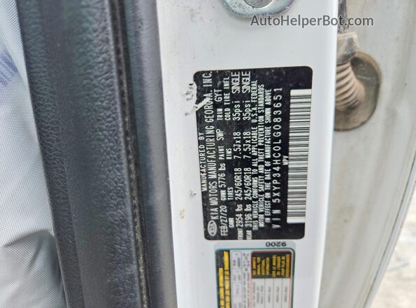 5XYP34HC0LG083651 2020 KIA TELLURIDE Белый Вид подкапотного пространства