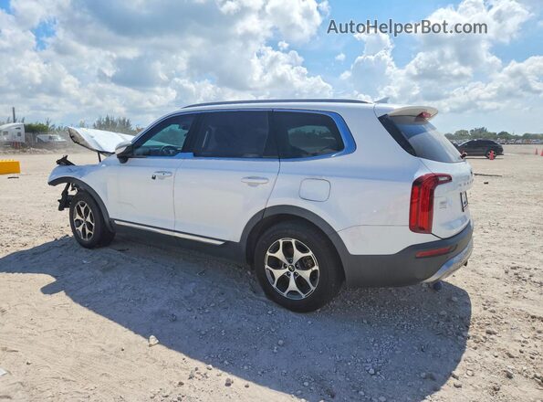 5XYP34HC2LG018252 2020 KIA TELLURIDE White უკანა მარცხენა