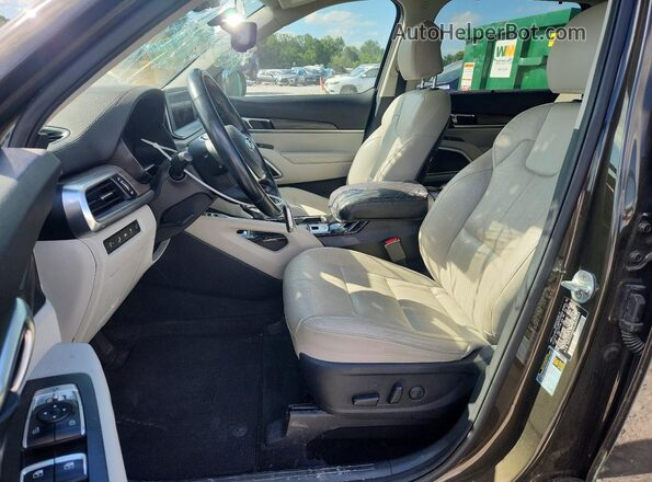5XYP34HC3LG051664 2020 KIA TELLURIDE Brown Սալոնի դիմացի տեսք