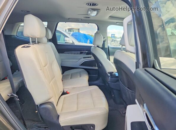5XYP34HC3LG051664 2020 KIA TELLURIDE Brown Սալոնի հետևի տեսք