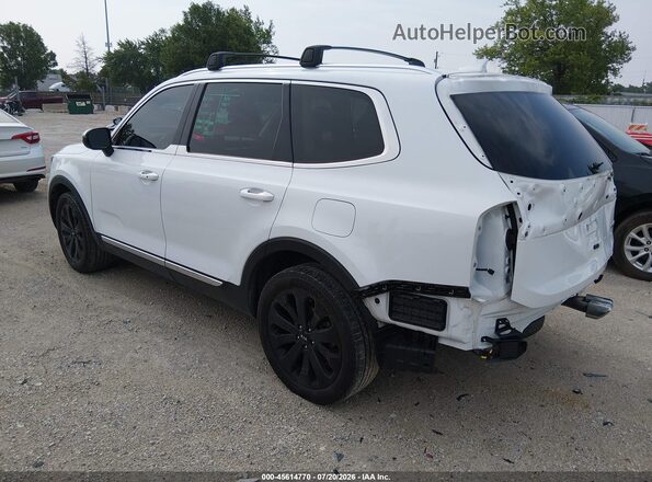 5XYP34HC3LG094143 2020 KIA TELLURIDE Белый Задняя левая четверть