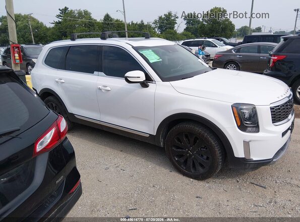 5XYP34HC3LG094143 2020 KIA TELLURIDE Белый Вид задней части салона