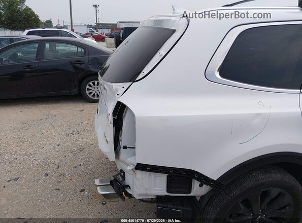 5XYP34HC3LG094143 2020 KIA TELLURIDE Белый 