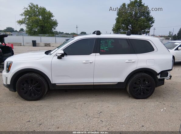 5XYP34HC3LG094143 2020 KIA TELLURIDE Белый Панорамный вид салона 360°
