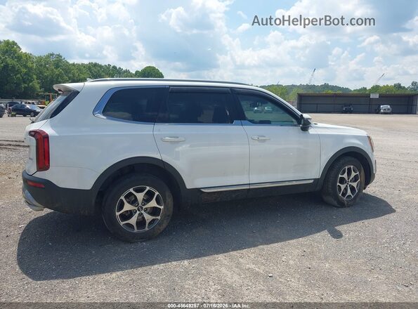 5XYP34HC6LG008758 2020 KIA TELLURIDE White Вид задньої частини салону